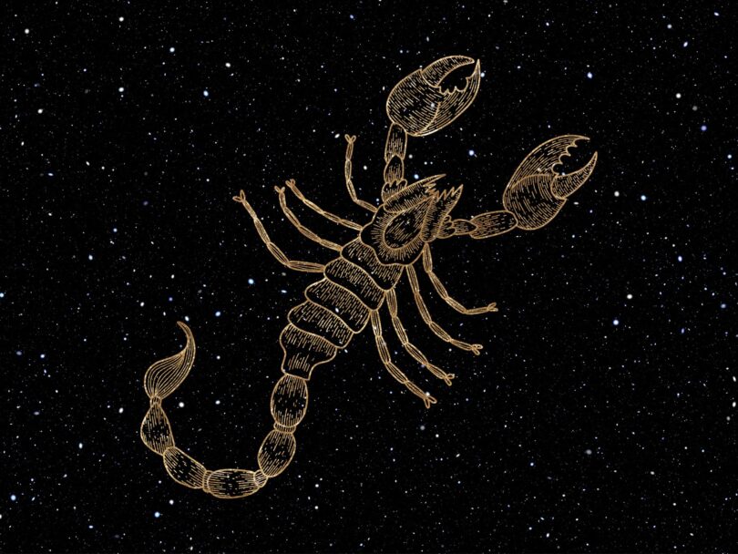 It's Scorpio Season!